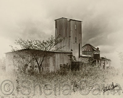 An Old Mill in belize